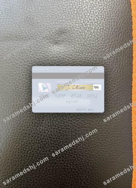 Peru Banco Banex visa debit card photolook back
